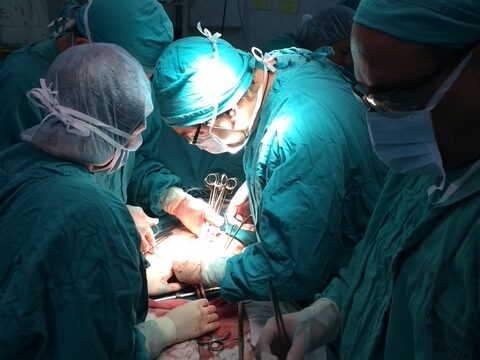 Surgery Dr Fernando Malavasi 1