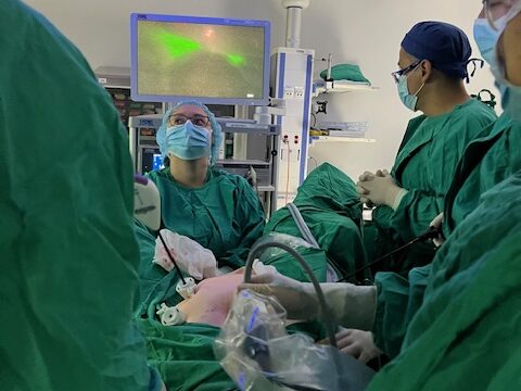 Surgery Dr Fernando Malavasi 2