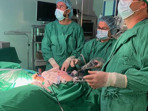 Surgery Dr Fernando Malavasi 3