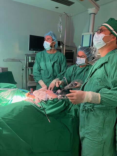 Surgery Dr Fernando Malavasi 3