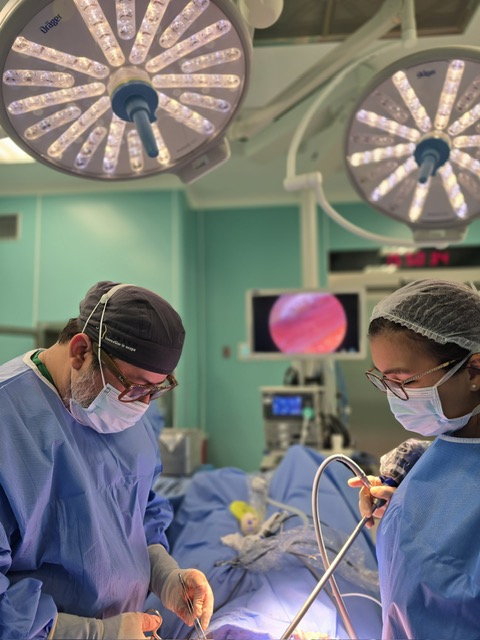 Surgery DrLatorraca4