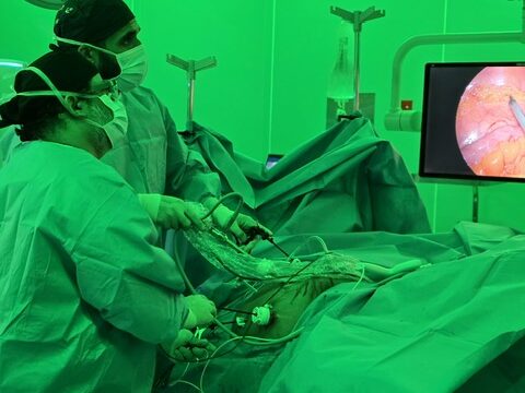 Surgery DrLatorraca5