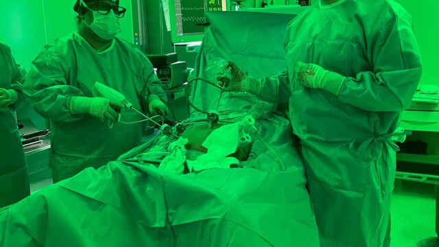 Surgery DrLatorraca6